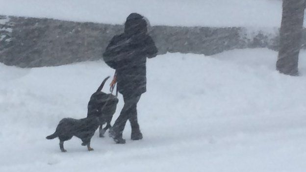 A person walks dogs during the blizzard in Rhode Island.