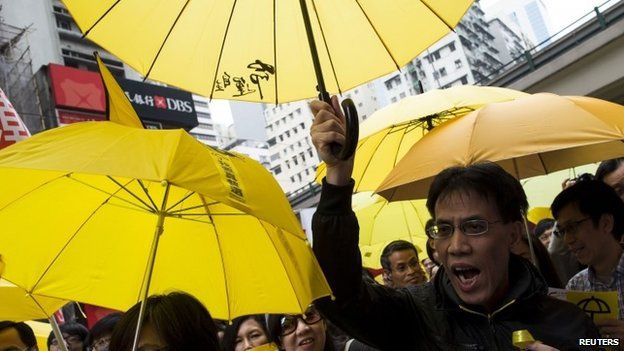 A pro-democracy protester during the march to demand universal suffrage (01 February 2015)