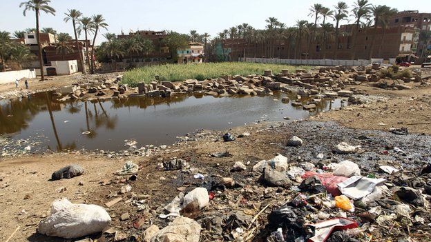 Polluted water at an archaeological site in Egypt
