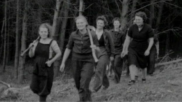 Lumber Jills, Land Girls in Devon, WW1 (Photos Framed, Prints, Puzzles,)  #23150698