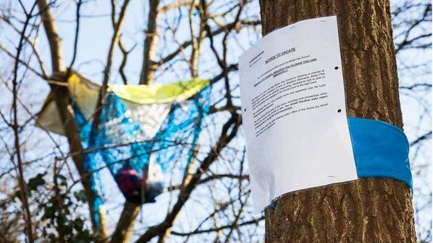 Eviction notice on tree