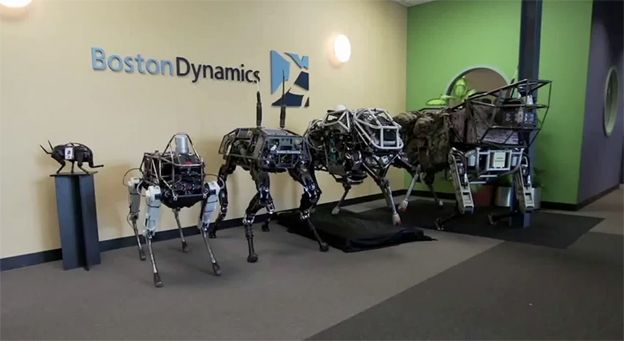 Spot and other robot dogs