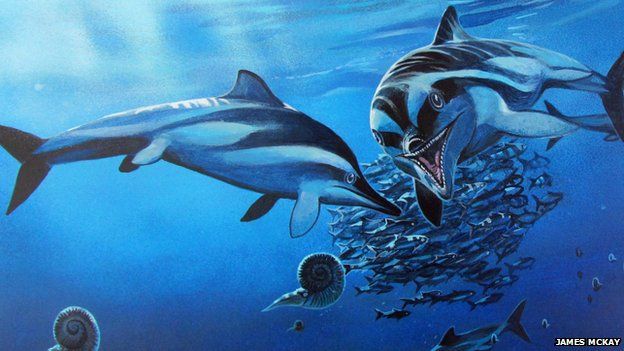 Artists impression of ichthyosaur