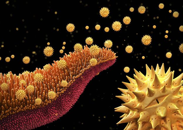 Pollen grains - by Maurizio De Angelis