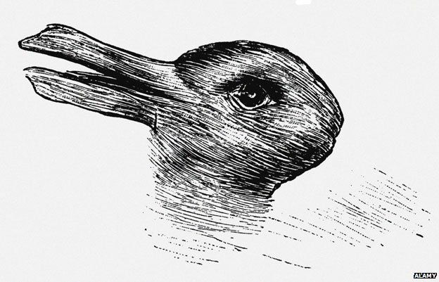Jastrow's duck rabbit