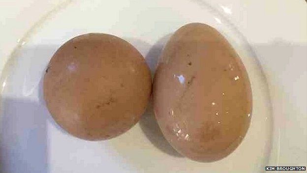 Round egg and normal egg
