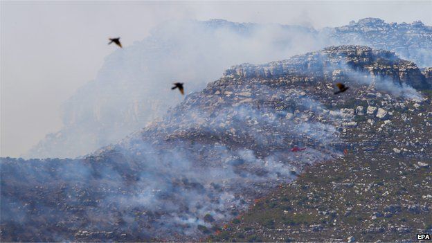Birds fly in front of a fire-fighting helicopter over a bush fire in Silvermine, Cape Town, South Africa 02 March 2015
