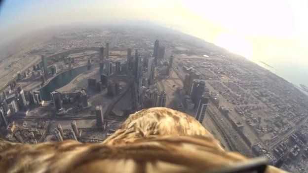 View of Dubai from camera on eagle's back