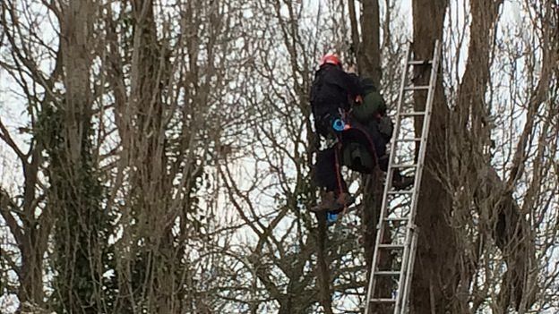 Bristol City Council removes last tree-top protesters - BBC News