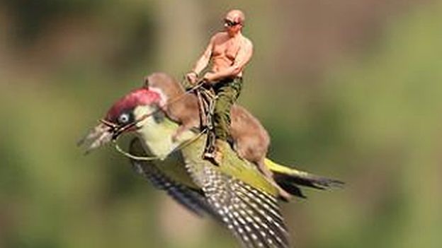 President Putin on the back of the famous #WeaselPecker