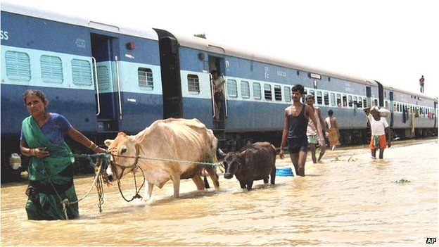 Family transporting their belongings and cattle through floodwater, India (Image: AP)