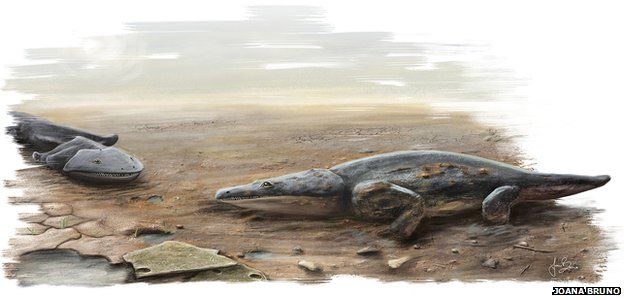 metoposaurus illustration