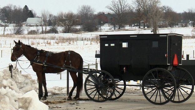 A horse and carriage