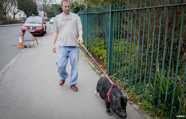 Frances Bacon being taken for a walk with Ian Taylor-Ross