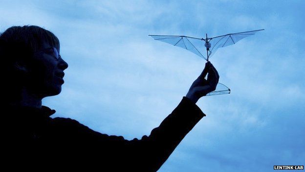 Researcher with the new flexible-winged drone (c) Lentink Lab