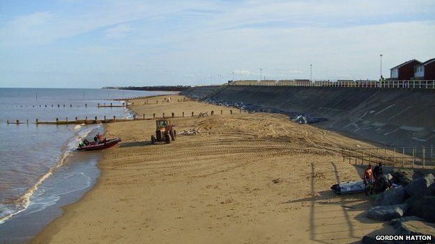 Volunteers clear up on seal pup rubbish Withernsea beach - BBC News