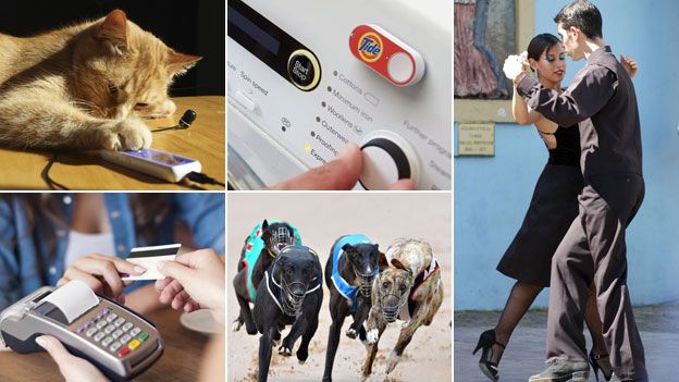 Cats, Dash button, dancing, greyhounds, and restaurant payment (clockwise from top left)