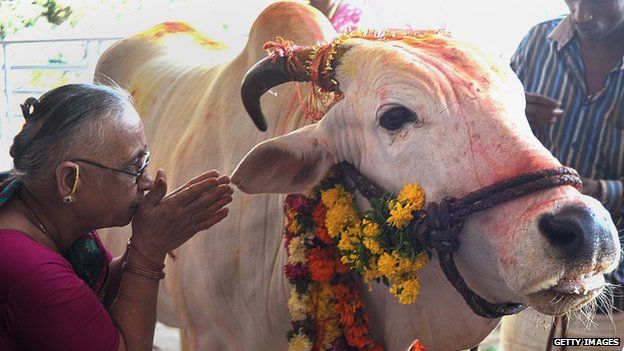 india-police-enforce-beef-ban-with-cow-mugshots-bbc-news