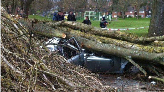 falling-tree-in-selly-oak-leaves-crushes-car-driver-bbc-news