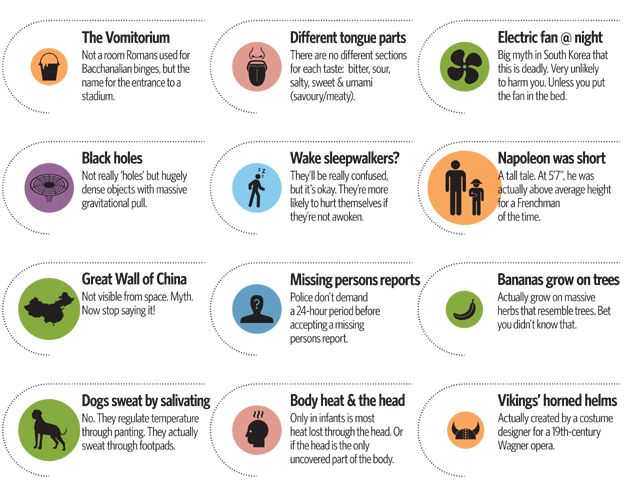 Detail from infographic on common urban myths - by David McCandless 'Knowledge is Beautiful'