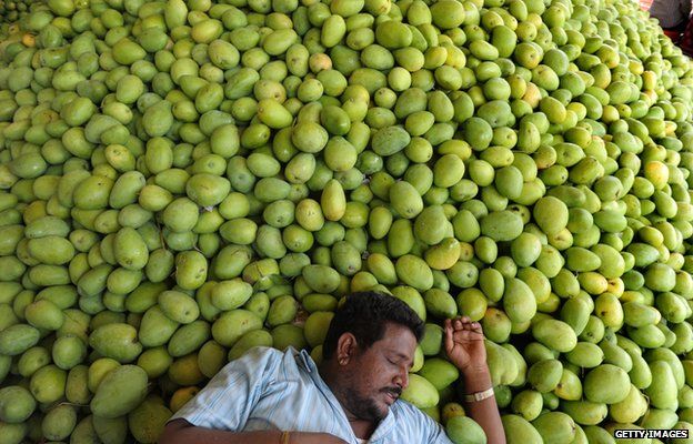 An Indian farmer takes rest after unloading mangoes at the Gaddiannaram Fruit Market, on the outskirts of Hyderabad on 6 May, 2013