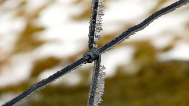 Your pictures of Scotland: 10-17 April - BBC News