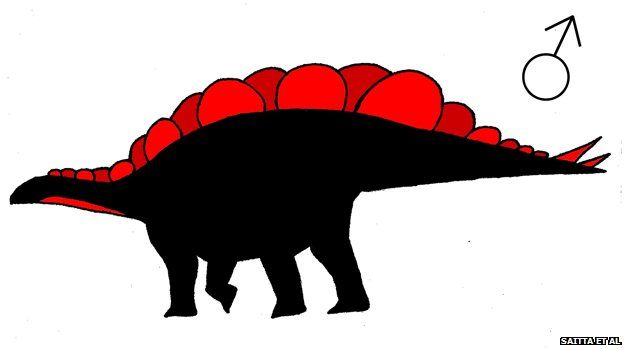 Female Stegosaurus mjosi