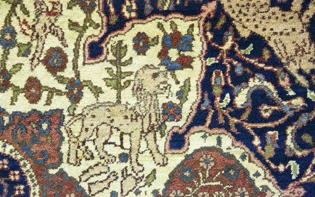 Close up of leopard or lion