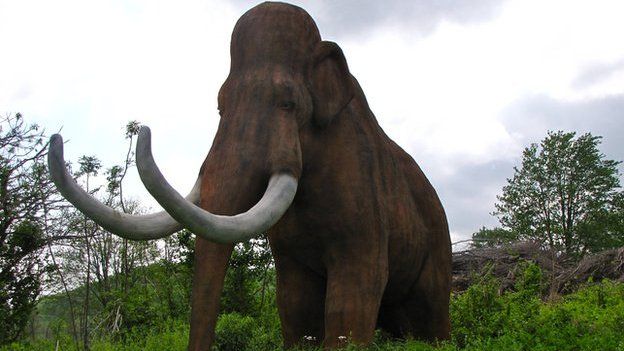 Image of a mammoth