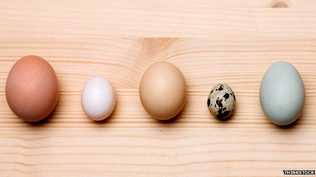 A variety of eggs