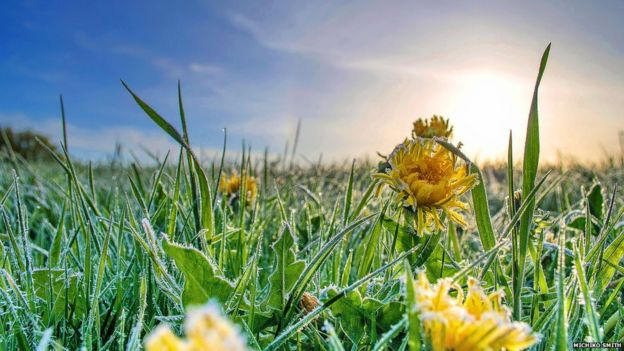 Your April weather photos - BBC Weather