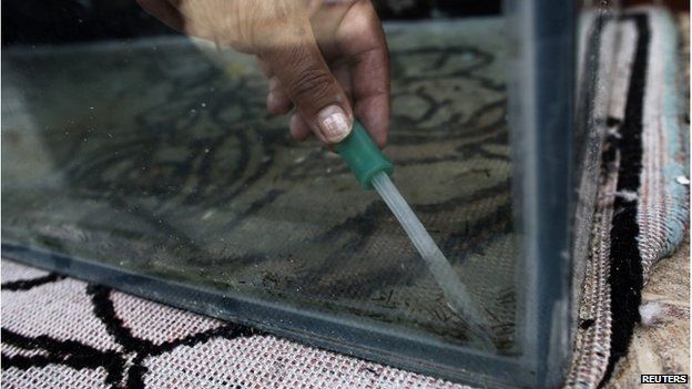 A national health official collects mosquito larvae from a container which was filled with rainwater