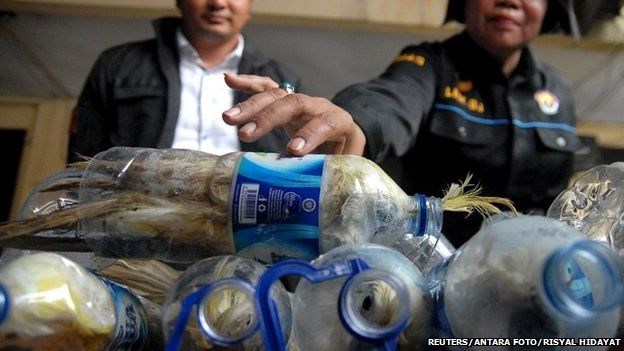 A police officer holds a water bottle which with a yellow-crested cockatoo put inside for illegal trade at the customs office of Tanjung Perak port in Surabaya, East Java province, Indonesia, May 4, 2015