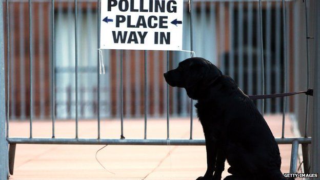 Dog waits outside polling station