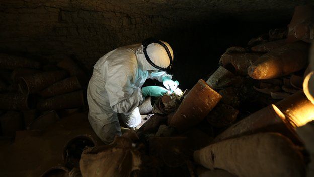 Animal mummy catacomb