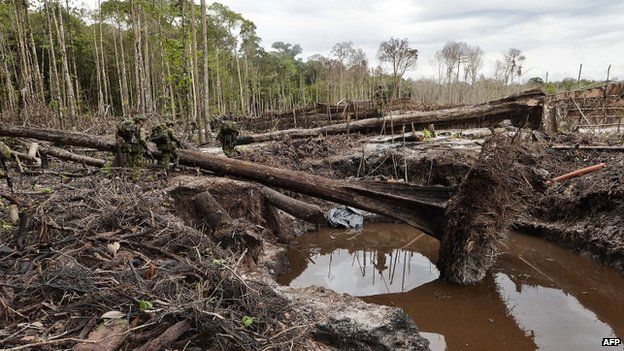 Colombia crackdown on illegal mines in Amazon - BBC News