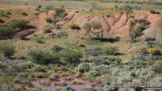 A crater created by a meteorite 4700 years ago in Central Australia
