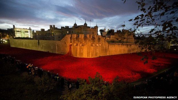 Ceramic poppies on display at the Tower of London