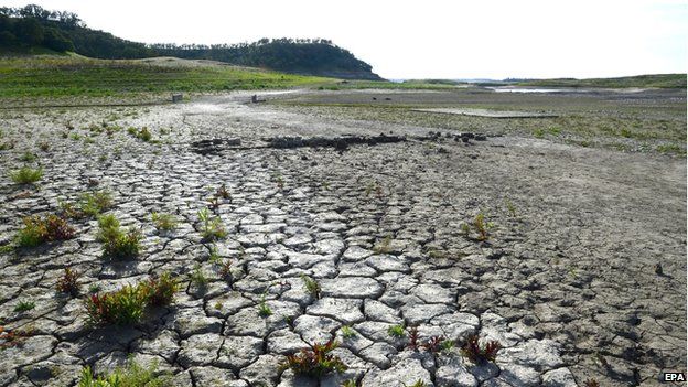 Californian drought: Challenges for farmers and city dwellers - BBC News