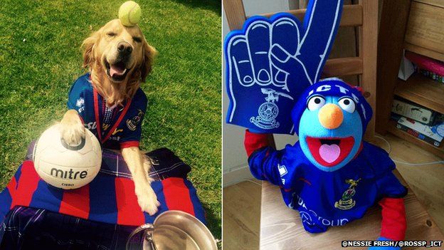 INVERNESS CALEDONIAN Thistle Supporter Football Dog Puppy Pet 