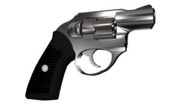 Gun similar to one of murder weapons