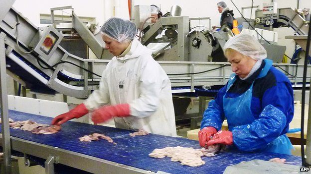 Fish processing in Napp, northern Norway