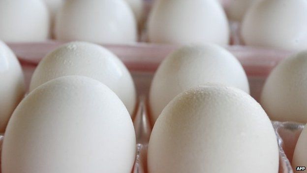 An egg carton (August 2010)