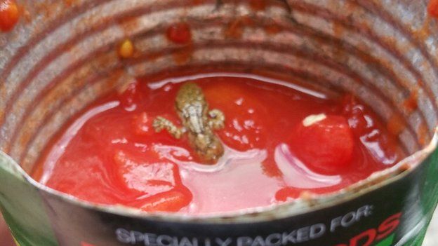 Dead lizard in can of tomatoes