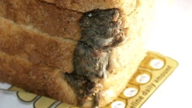 Dead mouse in bread