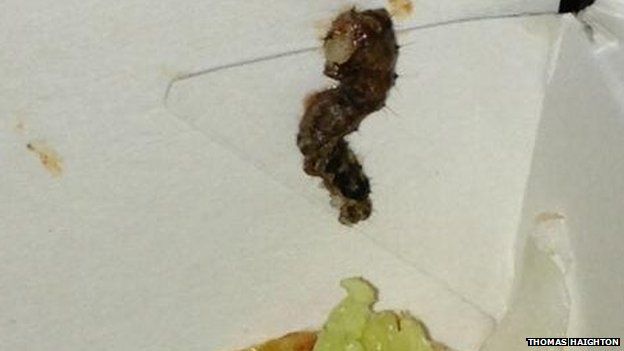 A photograph of the caterpillar found in a KFC burger