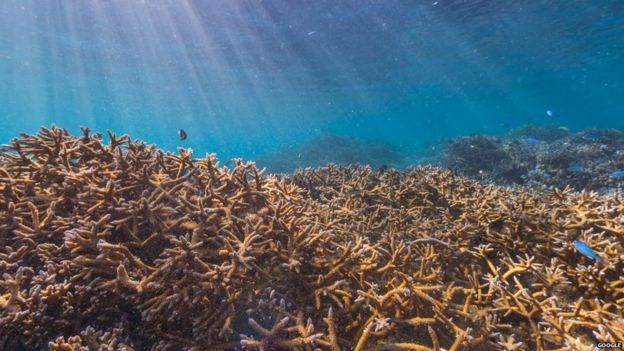 Google unveils new underwater 'street views' - BBC News