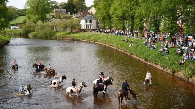 Horses in the River Eden at the Appleby Horse Fair