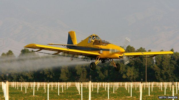 Crop-spraying near Arvin, California - file pic