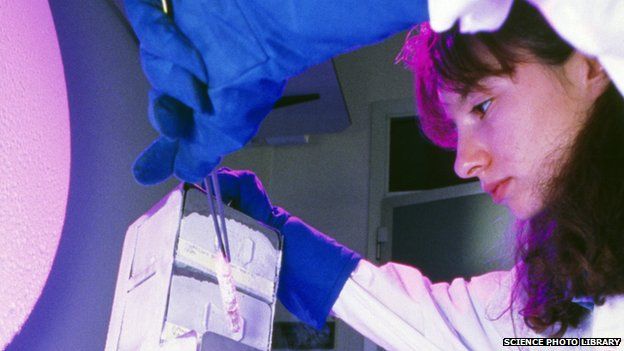 Researcher removes tissue from liquid nitrogen